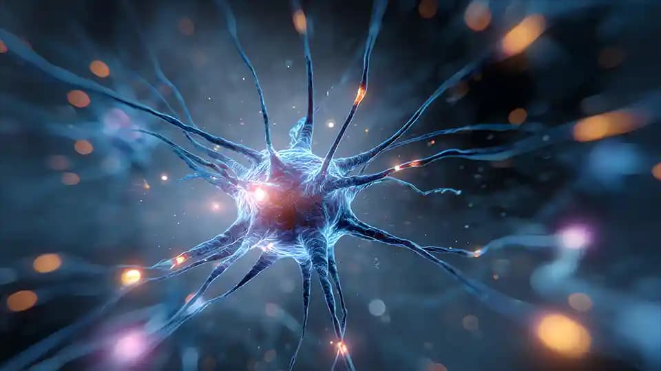 متخصص علوم شناختی